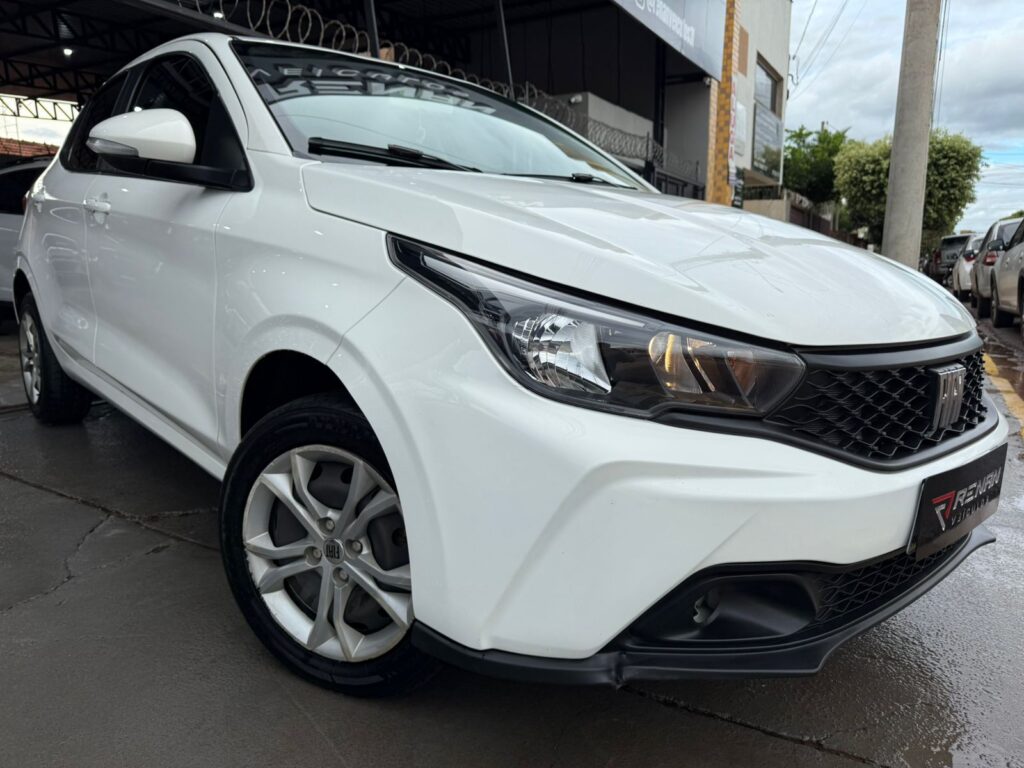 ARGO DRIVE 1.0 6V Flex